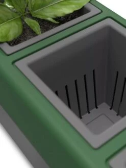 Provence Self-Watering Herb Planter -Garden Care Supplies 8611965 06V tif