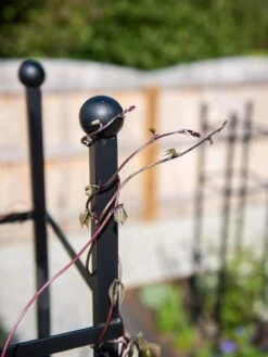 Essex Square Obelisk -Garden Care Supplies 8611984 278 tif