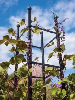 Essex Square Obelisk -Garden Care Supplies 8611984 354 tif