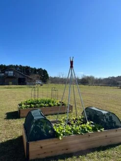 Insect And Pest Net Row Protector -Garden Care Supplies 8611985 04 tif