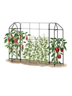 Zenith Trellis -Garden Care Supplies 8612035 art tif