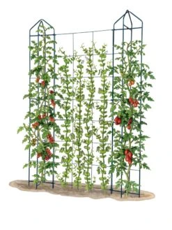 Zenith Trellis -Garden Care Supplies 8612036 art tif