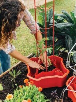 Deluxe Tomato Halos, Set Of 2 -Garden Care Supplies 8612045 135 tif