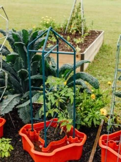 Deluxe Tomato Halos, Set Of 2 -Garden Care Supplies 8612045 221 tif