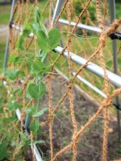 Coco Trellis Netting, 4' X 15'