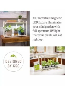 Tabletop Grow Kit -Garden Care Supplies 8612507 4