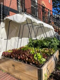 Cotton All Purpose Garden Cover -Garden Care Supplies 8612816 01CUST