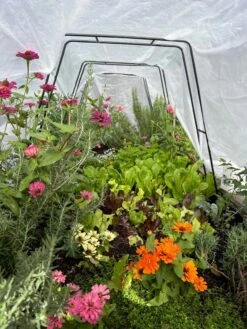 All-Purpose Garden Fabric -Garden Care Supplies 8612816 01TEST