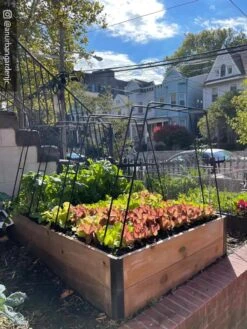 Zenith Garden Hoops, Set Of 4 -Garden Care Supplies 8612816 02CUST