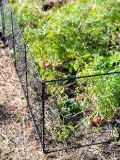 Chicken Wire Critter Fence, 16" High -Garden Care Supplies 8613249 0309