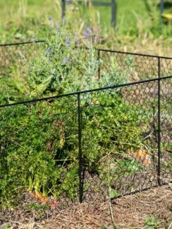 Chicken Wire Critter Fence, 16" High -Garden Care Supplies 8613249 0352