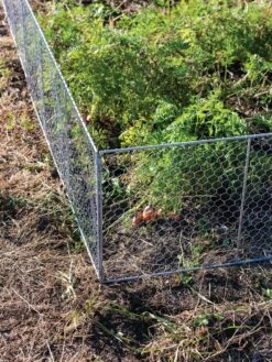 Chicken Wire Critter Fence, 16" High -Garden Care Supplies 8613249 0358