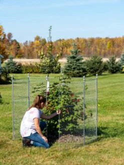 Tall Chicken Wire Critter Fence Extension Panel, Set Of 2 -Garden Care Supplies 8613260 0044 1