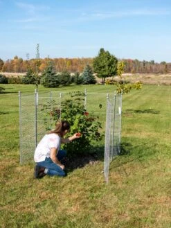 Tall Chicken Wire Critter Fence Extension Panel, Set Of 2 -Garden Care Supplies 8613260 0090