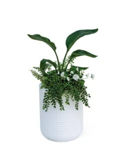 Arden Round Planter -Garden Care Supplies 8613267 0115