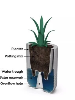 Arden Round Planter -Garden Care Supplies 8613267 06V tif