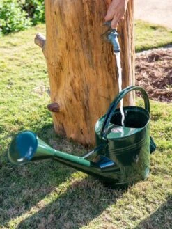 Long Reach Watering Can, Large -Garden Care Supplies 8613346 0147