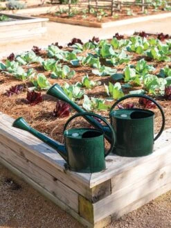 Long Reach Watering Can, Large -Garden Care Supplies 8613346 0148 1