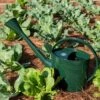 Long Reach Watering Can, Large -Garden Care Supplies 8613346 0149