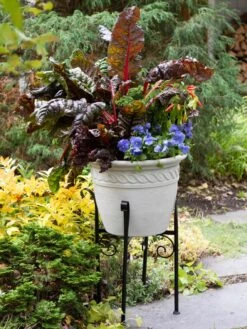 Covington Adjustable Plant Stands -Garden Care Supplies 8613348 0114