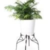 Aubrey Adjustable Plant Stand -Garden Care Supplies 8613454 5716 aubrey adjustable plant stand