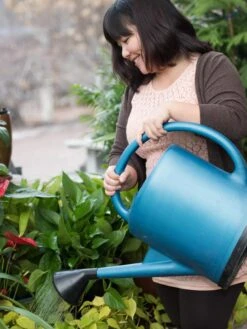 French Blue Watering Can -Garden Care Supplies EmilyHoangSquare 0151 tif