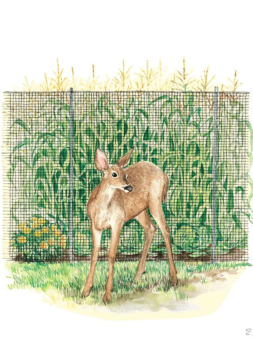 Easy-Up Lightweight Fence 3 Easy-Up Lightweight Fence