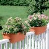 2' X 4' Railing Planter, 25" -Garden Care Supplies GS34336 01 24 inch 2x6 railing planters