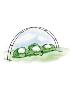 Super Hoops, Set Of 6 -Garden Care Supplies GS39423 02S 3 4
