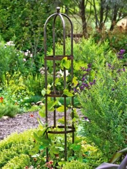 Jardin Bird Cage Support, 26" -Garden Care Supplies GS39529 01 tif