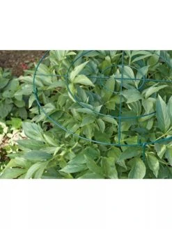 Grow Through Supports, Set Of 3 -Garden Care Supplies GS40172 01 1