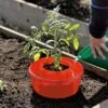Tomato Halos, Set Of 3 -Garden Care Supplies GS40357 01 tif