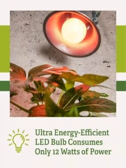 Miracle LED® Absolute Daylight™ Max Flowering Grow Light Bulb -Garden Care Supplies Miracle Daylight Bulb 2