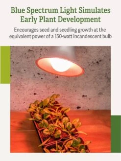 Miracle LED® Absolute Daylight™ Max Flowering Grow Light Bulb -Garden Care Supplies Miracle Daylight Bulb 4