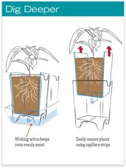 Stoneware Self-Watering Windowsill Planters, Set Of 2 -Garden Care Supplies hiw 8593943 jpg